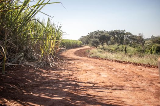 SUV compact gris roulant sur une route de terre rougeâtre bordée de champs de canne à sucre, près de Chamarel, lumière de fin d'après-midi